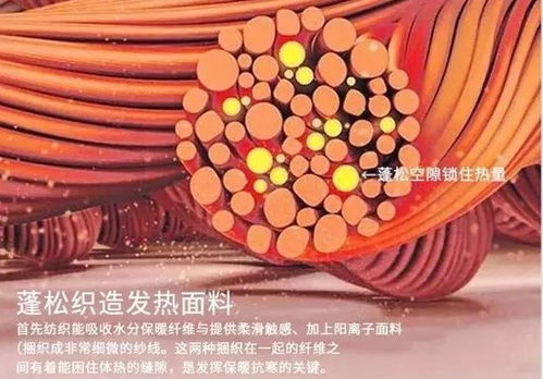 簡單好看的冬季穿搭 顯瘦又高級(jí) 時(shí)髦到爆